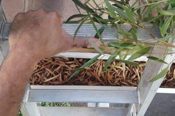 A hand grips a ladder rung, looking down at a gutter filled with dry leaves and debris. Essential gutter cleaning maintenance to prevent water damage.