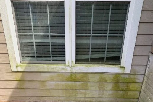 Green discoloration covers siding directly beneath a white framed window.