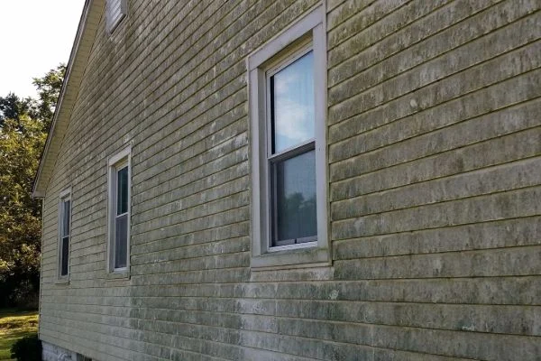 Green stains cover house siding around two white framed windows.