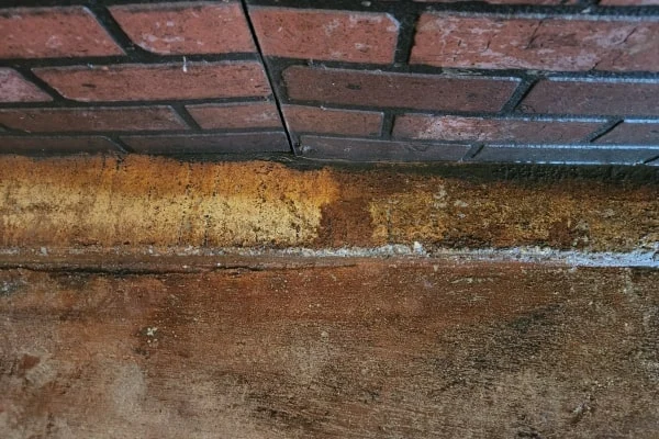 A stained concrete step sits beneath a red brick wall.