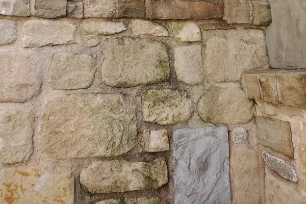 Dark green patches mark mortar between blocks in a stone wall.