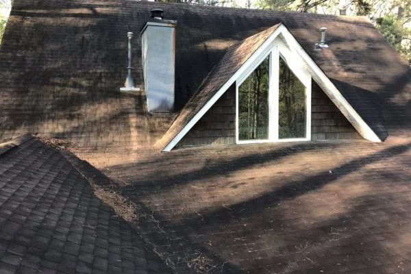 Dark streaks surround a triangular dormer window on a shingle roof.