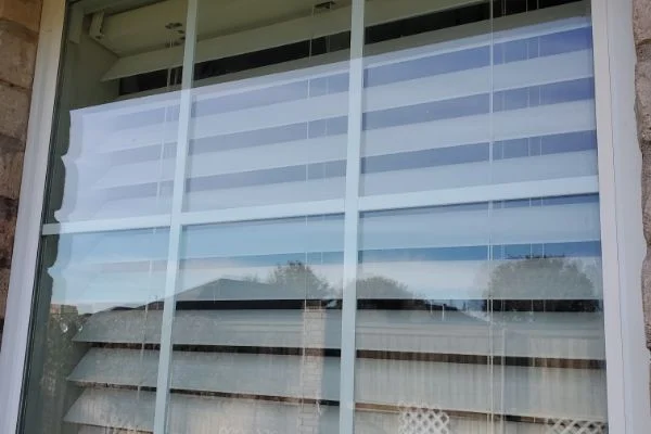 Clear window glass reflects trees in front of white blinds.