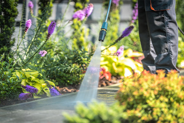 Pressure washing a stone walkway with vibrant flowers and greenery in the background. A powerful stream of water cleans the surface.